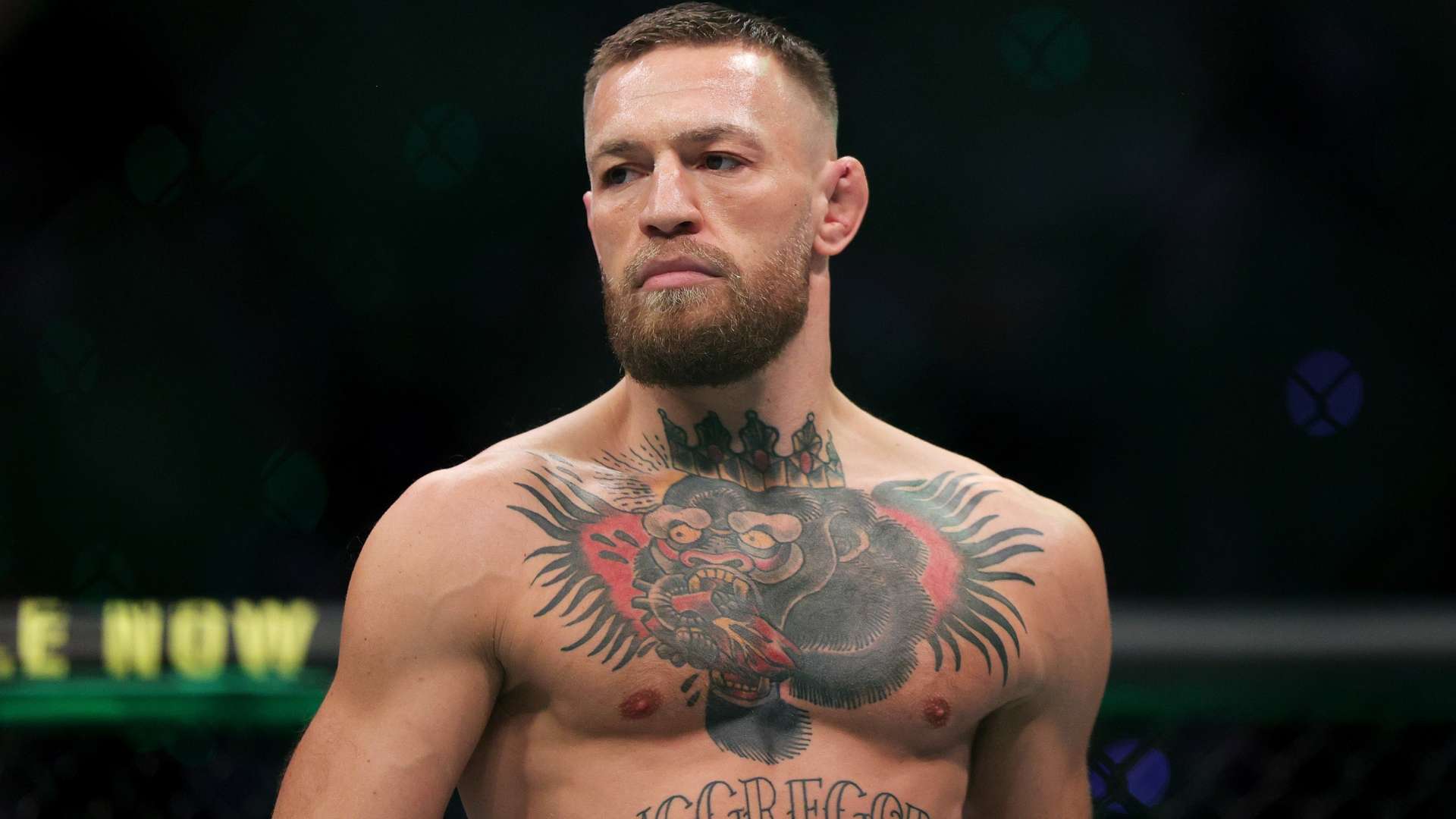 执行方面也 执行方面也